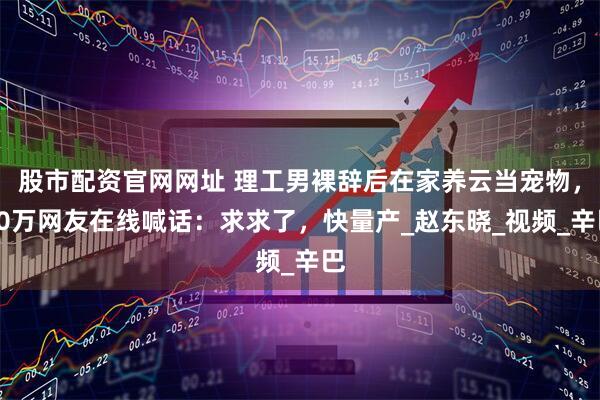 股市配资官网网址 理工男裸辞后在家养云当宠物，50万网友在线喊话：求求了，快量产_赵东晓_视频_辛巴