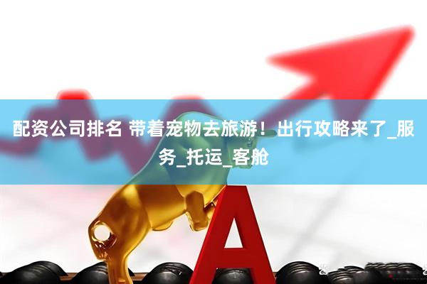 配资公司排名 带着宠物去旅游！出行攻略来了_服务_托运_客舱