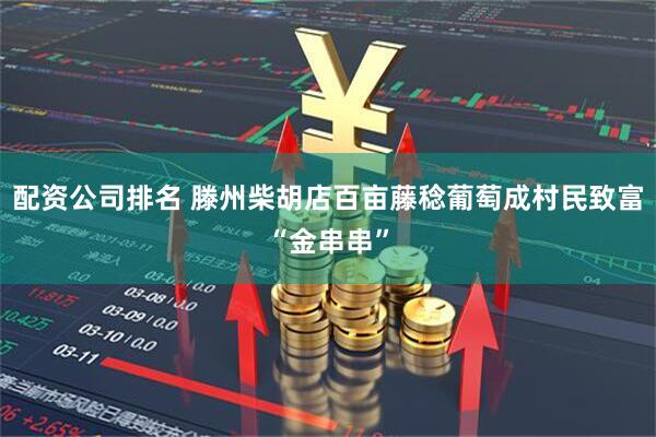 配资公司排名 滕州柴胡店百亩藤稔葡萄成村民致富“金串串”