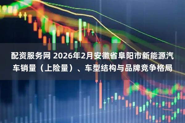 配资服务网 2026年2月安徽省阜阳市新能源汽车销量（上险量）、车型结构与品牌竞争格局